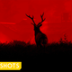 Image for article titled Welcome To Hell, Bambi